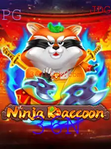Descubra NinjaRaccoon: Uma Aventura Inovadora e Desafiadora com 36N